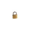 Lucchetto LK 20 mm ottone