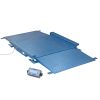 Piattaforma pesatura FLPA300 1.500 kg divisione 0,5 kg piatto 1.000 x 1.250 x 120 + indicatore con rampa